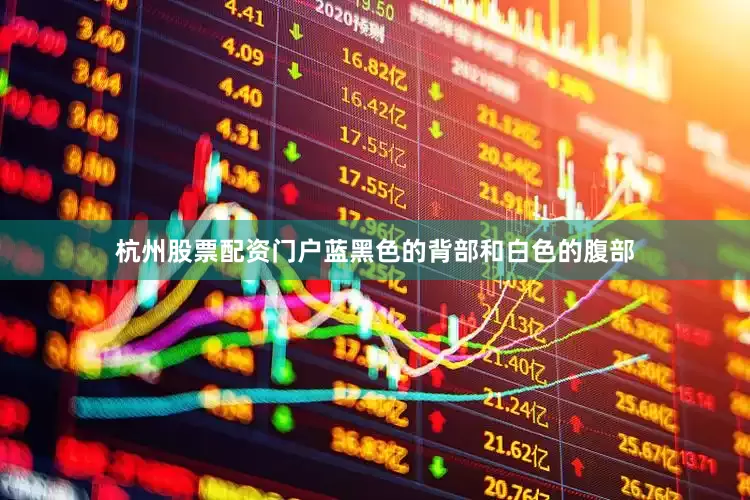 杭州股票配资门户蓝黑色的背部和白色的腹部