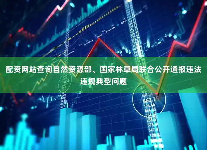 配资网站查询自然资源部、国家林草局联合公开通报违法违规典型问题