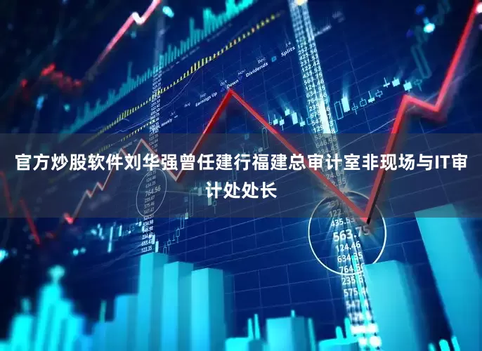 官方炒股软件刘华强曾任建行福建总审计室非现场与IT审计处处长